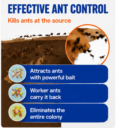 SKINOVAE Ready-to-Use Liquid Ant Bait Stations – Indoor & Outdoor Ant Control