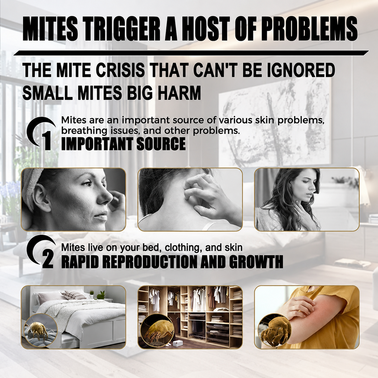 🔥HOT SALE🔥Natural Mite Control Sachet（Quantity- PCS / bag） Regular price$29.98 Sale price$19.99 33.32% OFF