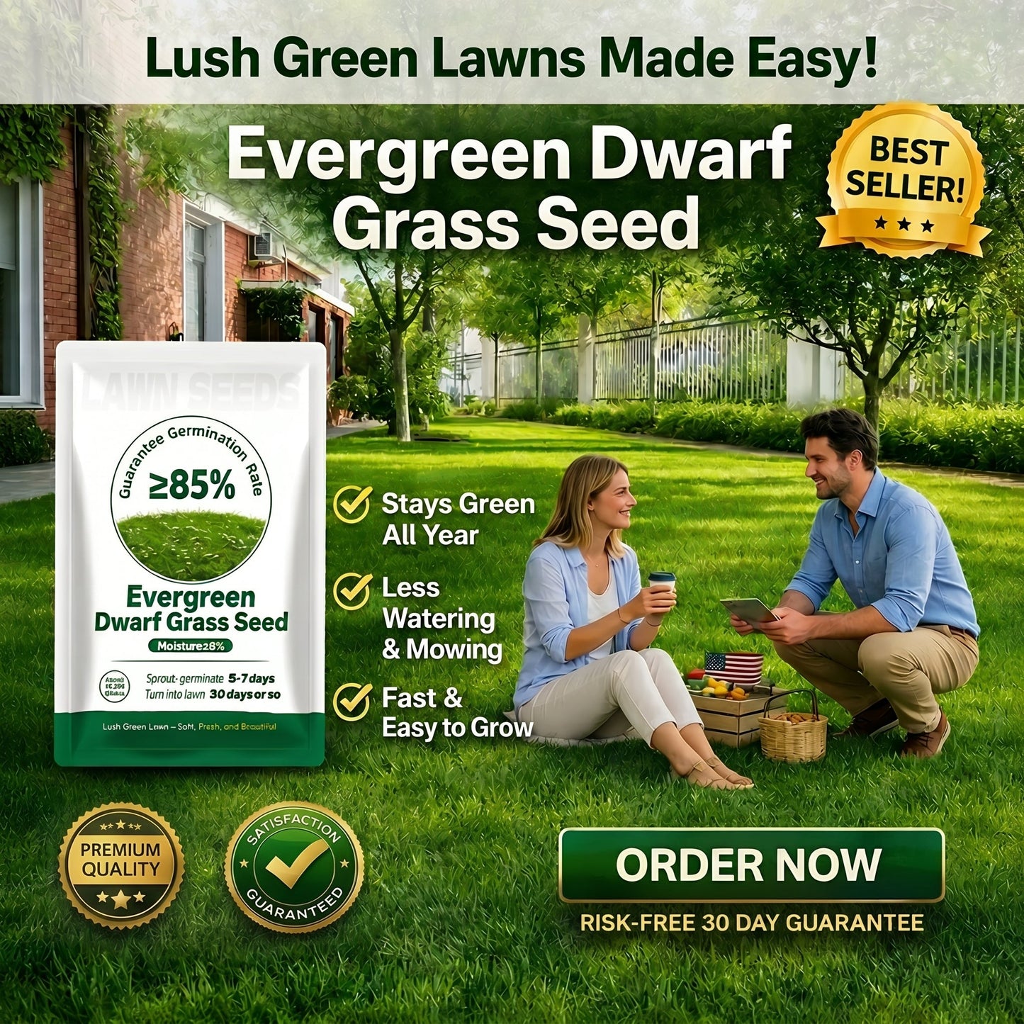 🔥Last Day Promotion 49% OFF🔥🌱2026 Evergreen Dwarf Grass Seed for Four Seasons| Durable, Vibrant Green All Year
