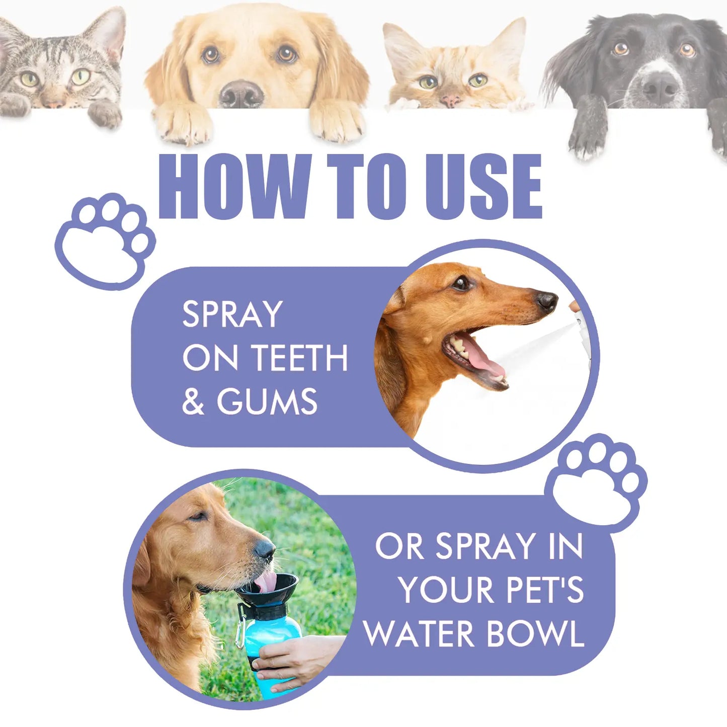 Skinovae™ 🍃NO BRUSHING oral care spray for dogs cats