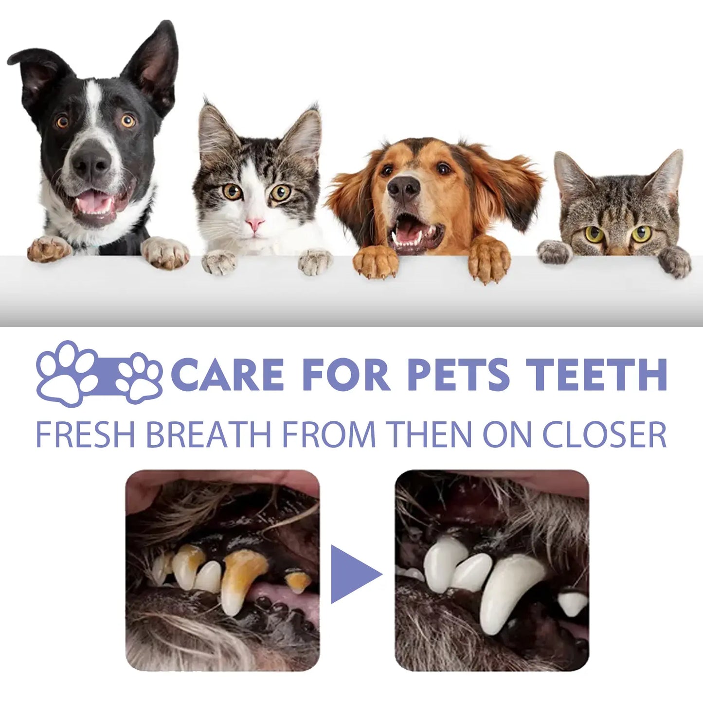 Skinovae™ 🍃NO BRUSHING oral care spray for dogs cats