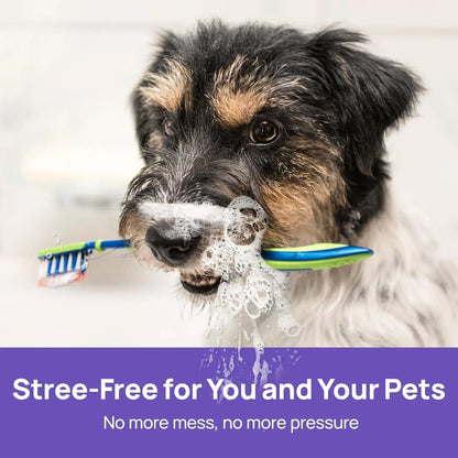 Skinovae™ 🍃NO BRUSHING oral care spray for dogs cats